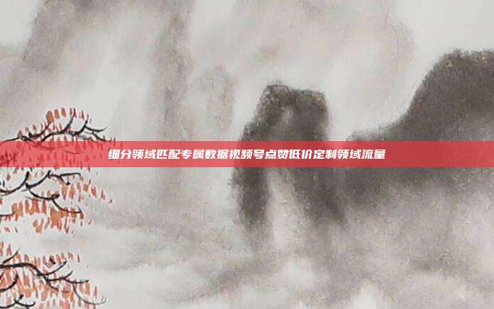 细分领域匹配专属数据视频号点赞低价定制领域流量