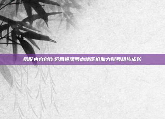 搭配内容创作运营视频号点赞低价助力账号稳步成长