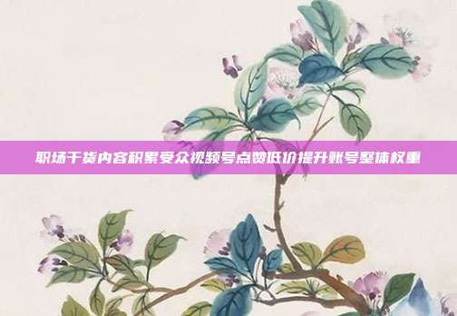 职场干货内容积累受众视频号点赞低价提升账号整体权重