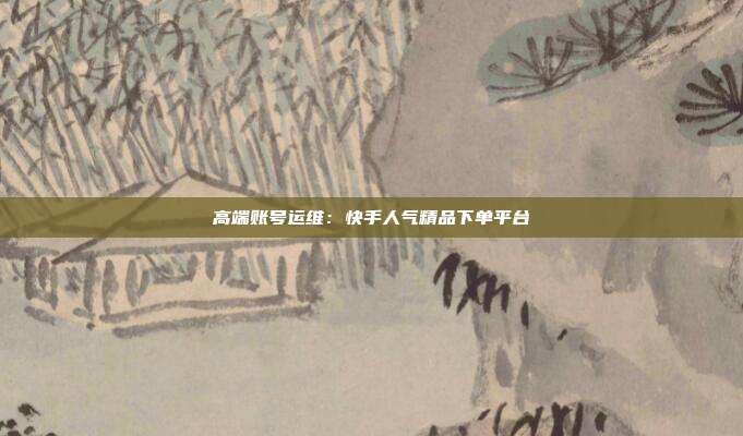 高端账号运维:快手人气精品下单平台