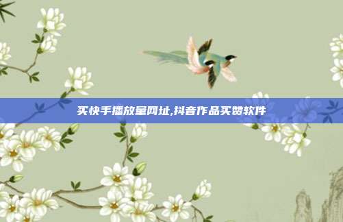 买快手播放量网址,抖音作品买赞软件