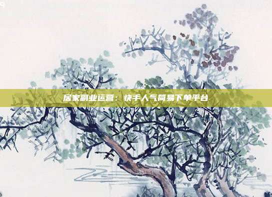 居家副业运营:快手人气简易下单平台