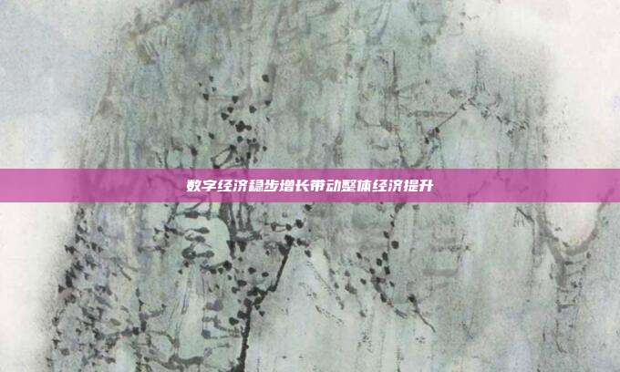 数字经济稳步增长带动整体经济提升