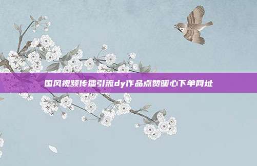 国风视频传播引流dy作品点赞暖心下单网址