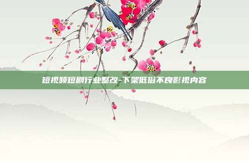 短视频短剧行业整改-下架低俗不良影视内容