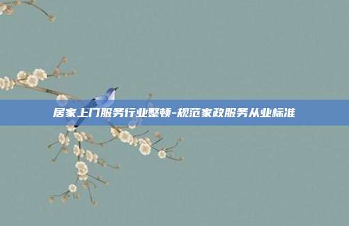 居家上门服务行业整顿-规范家政服务从业标准