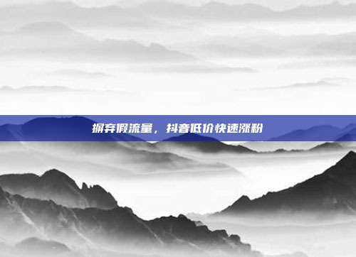 摒弃假流量，抖音低价快速涨粉