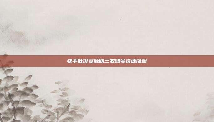 快手低价资源助三农账号快速涨粉