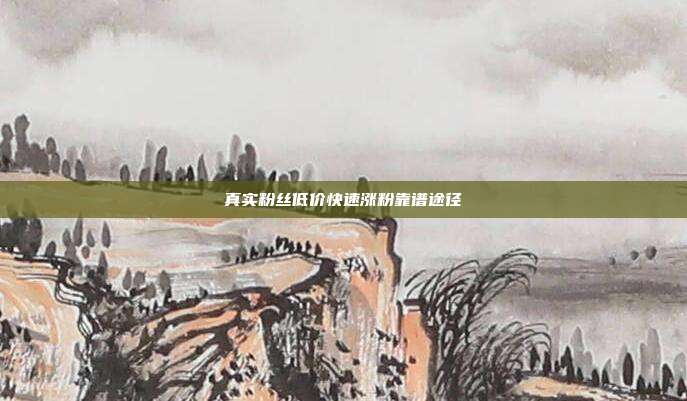 真实粉丝低价快速涨粉靠谱途径
