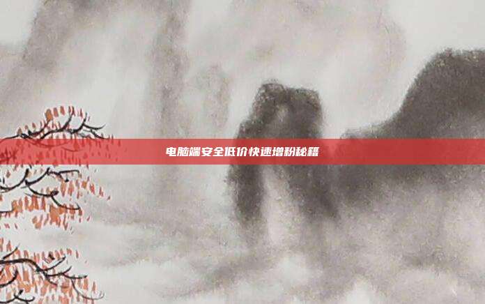 电脑端安全低价快速增粉秘籍