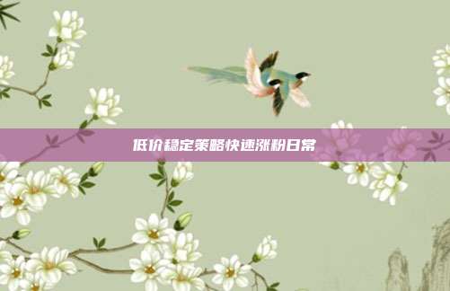 低价稳定策略快速涨粉日常