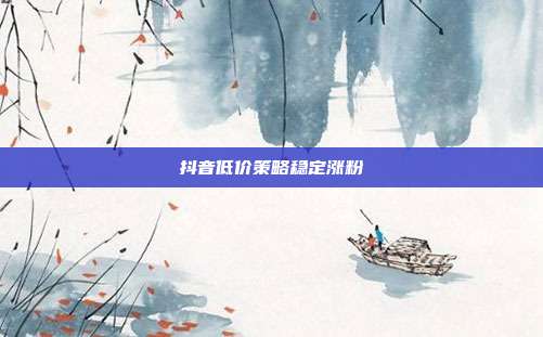 抖音低价策略稳定涨粉