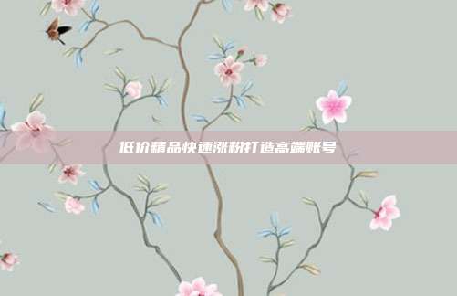 低价精品快速涨粉打造高端账号