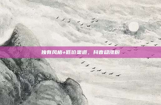 独有风格+低价渠道，抖音稳涨粉
