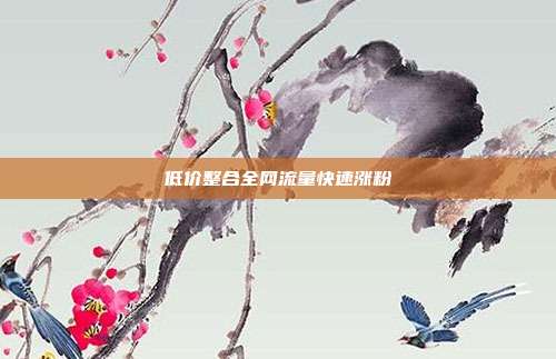 低价整合全网流量快速涨粉