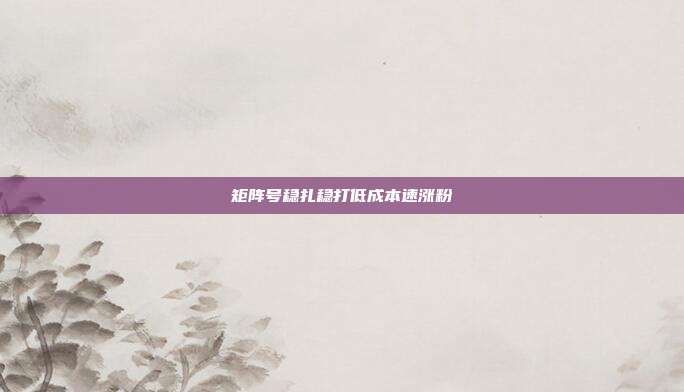 矩阵号稳扎稳打低成本速涨粉