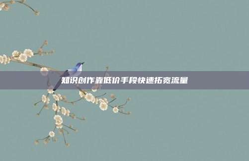 知识创作靠低价手段快速拓宽流量