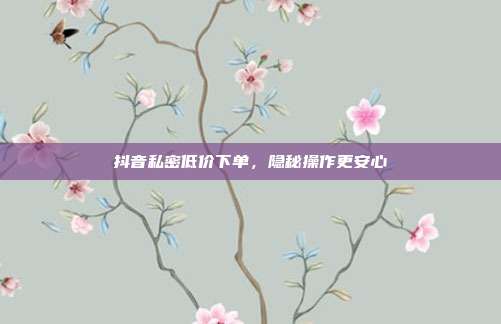 抖音私密低价下单，隐秘操作更安心