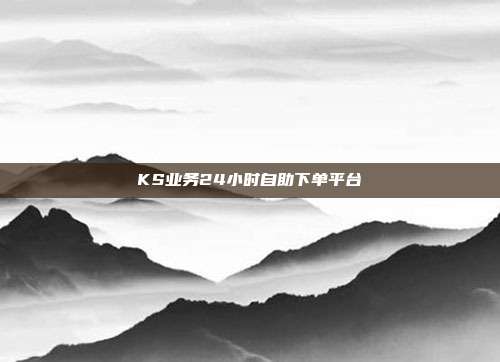 KS业务24小时自助下单平台
