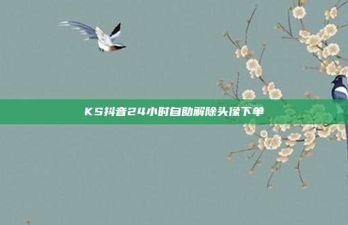 KS抖音24小时自助解除头像下单