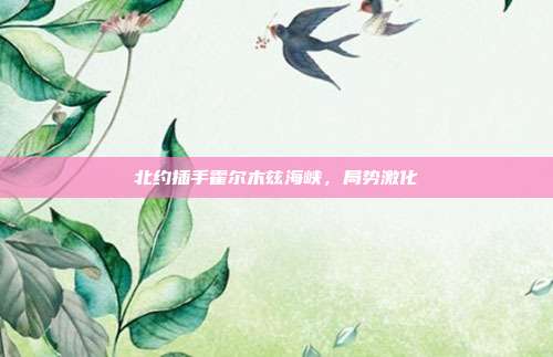 北约插手霍尔木兹海峡，局势激化