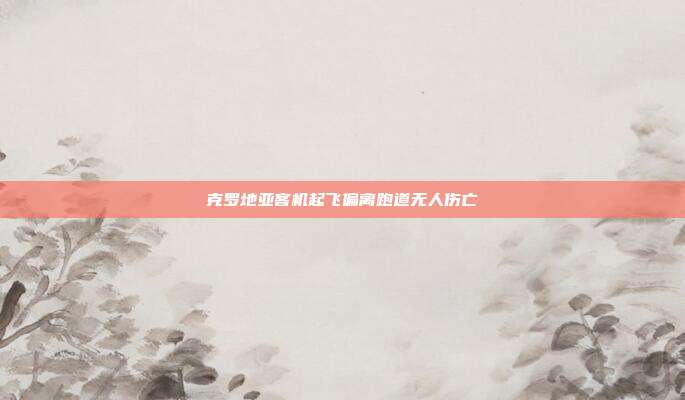 克罗地亚客机起飞偏离跑道无人伤亡