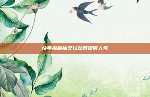 快手福利抽奖拉动直播间人气