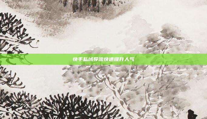 快手私域导流快速提升人气