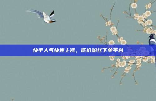 快手人气快速上涨，低价粉丝下单平台