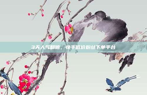 3天人气翻倍，快手低价粉丝下单平台