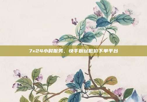7×24小时服务，快手粉丝低价下单平台