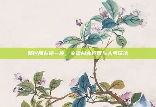 路过朋友停一停，交流抖音运营与人气玩法