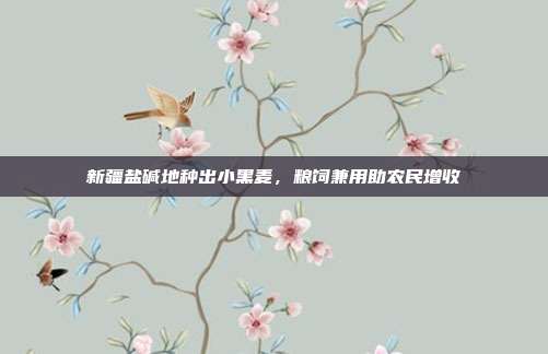 新疆盐碱地种出小黑麦,粮饲兼用助农民增收