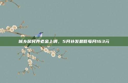 城乡居民养老金上调，5月补发最低每月163元