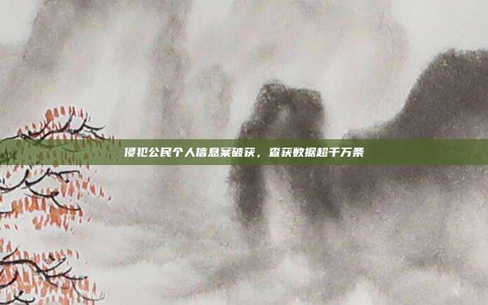 侵犯公民个人信息案破获，查获数据超千万条