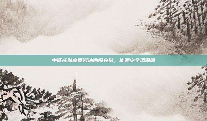 中低成熟度页岩油勘探突破，能源安全添保障