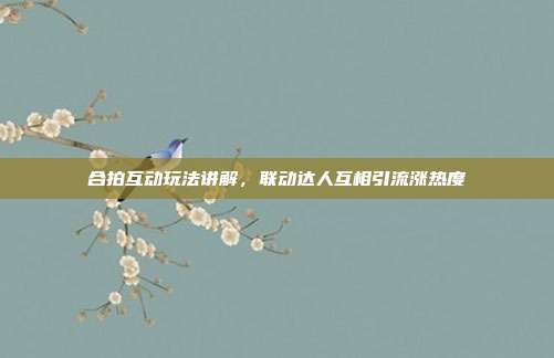 合拍互动玩法讲解,联动达人互相引流涨热度