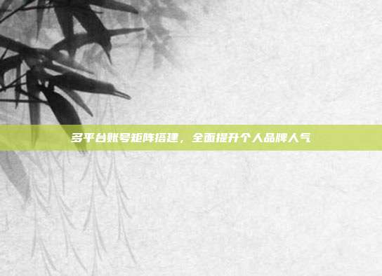 多平台账号矩阵搭建，全面提升个人品牌人气