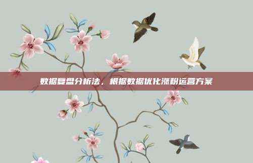 数据复盘分析法,根据数据优化涨粉运营方案