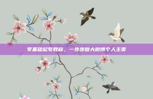零基础起号教程，一步步做大微博个人主页