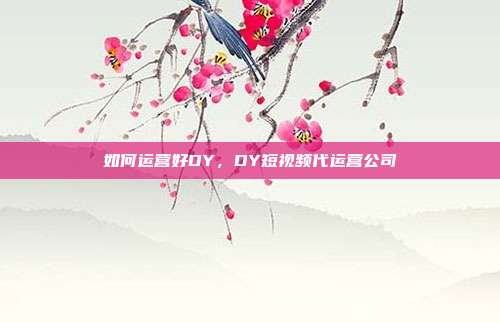 如何运营好DY，DY短视频代运营公司