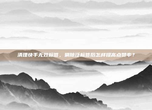 清理快手无效标签，剔除泛标签后怎样提高点赞率？