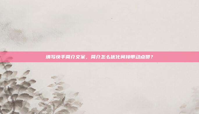 填写快手简介文案，简介怎么优化间接带动点赞？