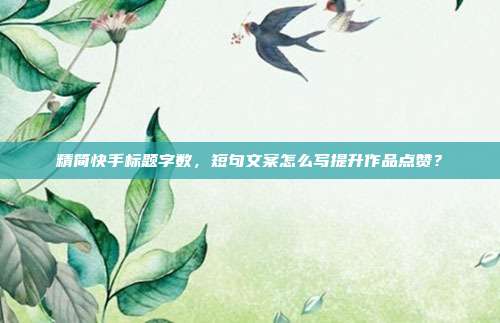 精简快手标题字数，短句文案怎么写提升作品点赞？