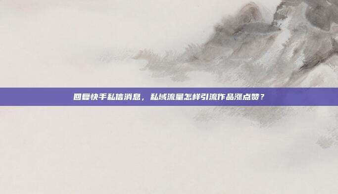 回复快手私信消息，私域流量怎样引流作品涨点赞？