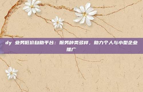 dy 业务低价自助平台:服务种类多样,助力个人与小型企业推广