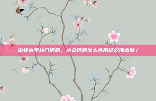 查找快手热门话题，小众话题怎么选用轻松涨点赞？