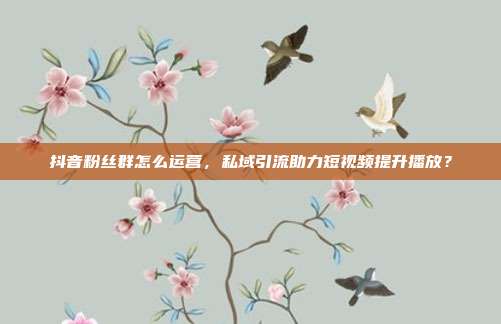抖音粉丝群怎么运营，私域引流助力短视频提升播放？