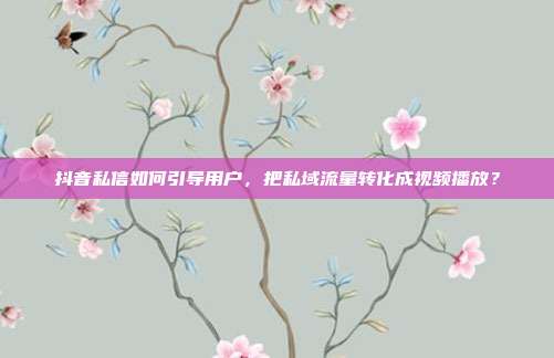 抖音私信如何引导用户，把私域流量转化成视频播放？