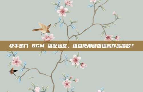快手热门 BGM 搭配标签，组合使用能否提高作品播放？